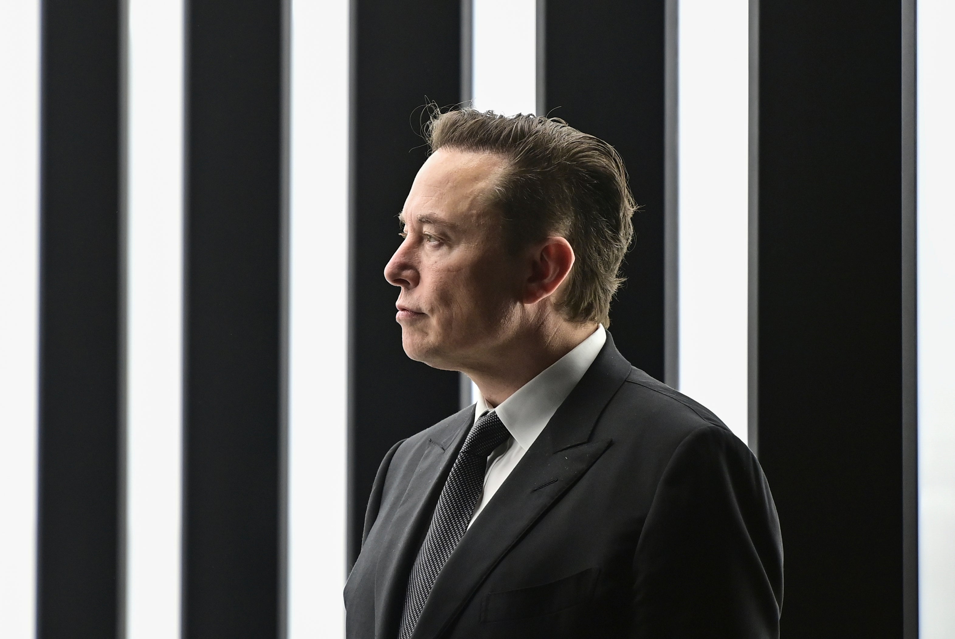 Elon Musk’s takeover of Twitter has divided opinion