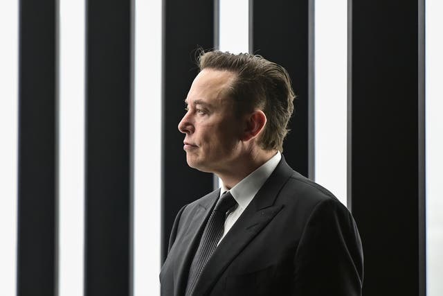 Elon Musk Twitter Banned Users
