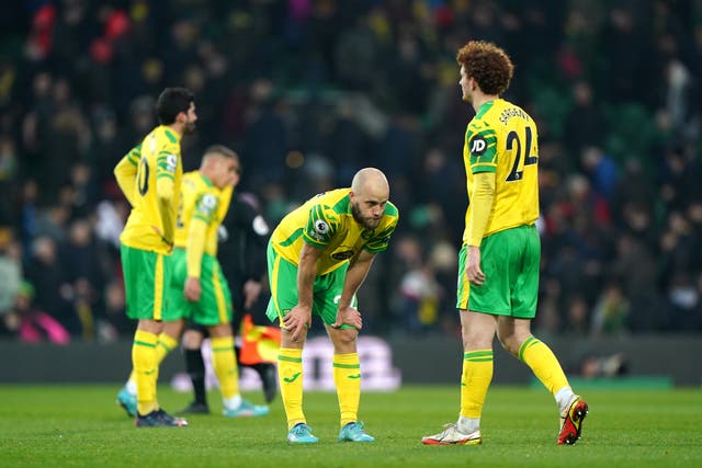 Teemu Pukki (centre) could not find the goals to help keep Norwich up (Joe Giddens/PA)