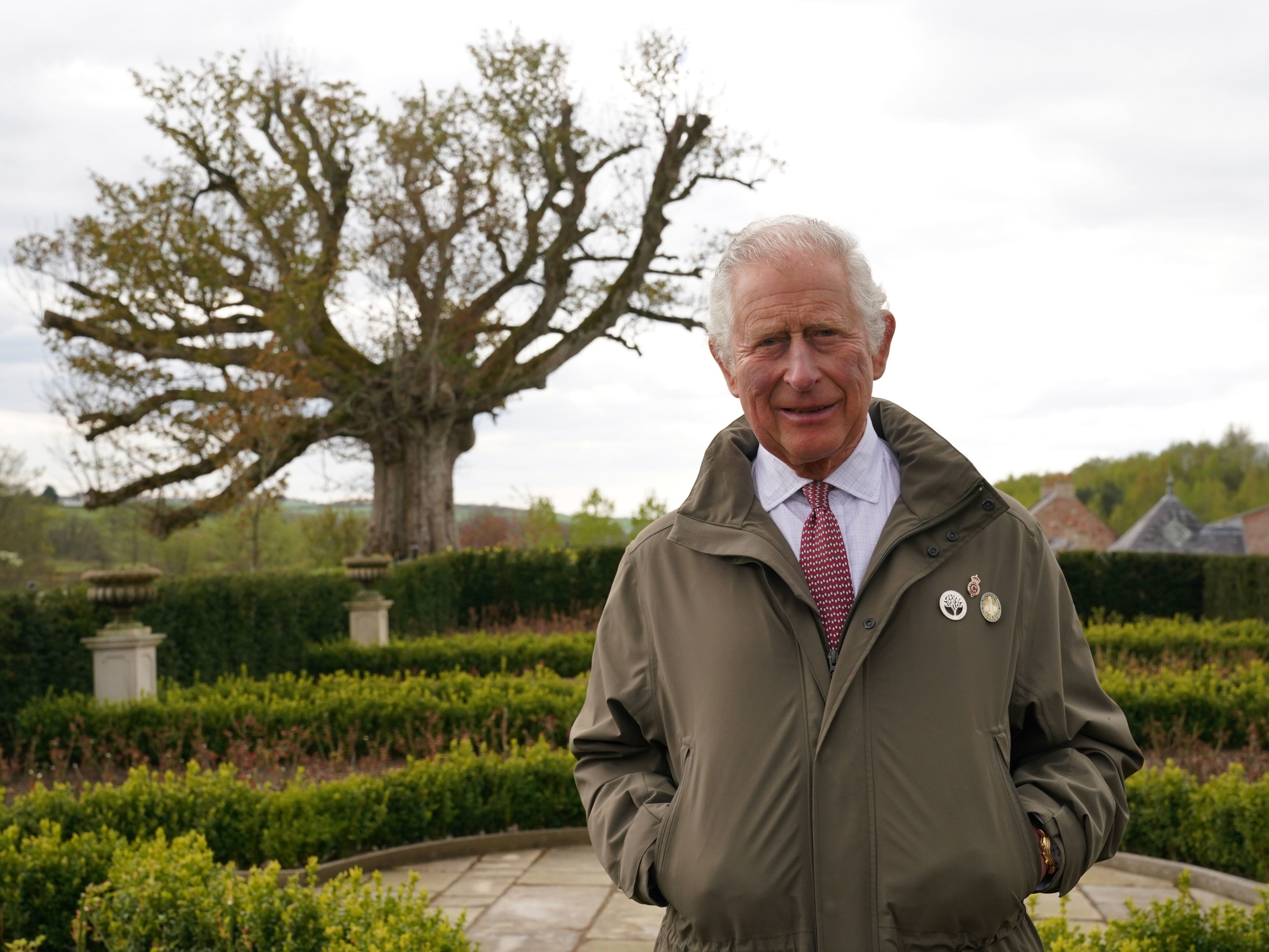 The Prince of Wales stands beside the ‘Old Sycamore’ in the Dumfries House garden