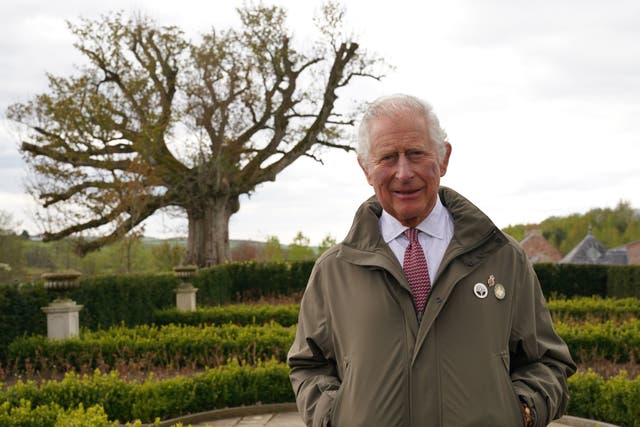 <p>The Prince of Wales stands beside the ‘Old Sycamore’ in the Dumfries House garden</p>
