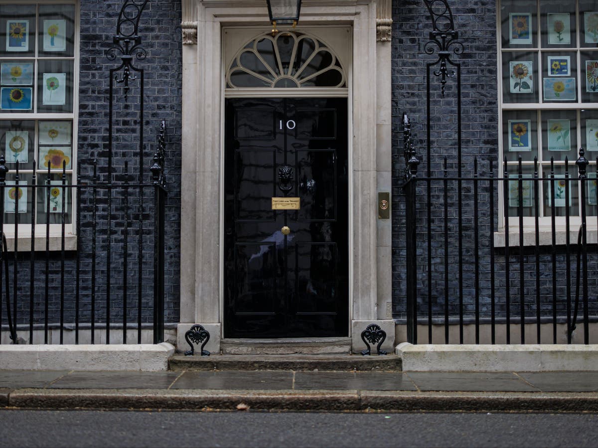 &lsquo;Is this wise?&rsquo;: Emails &lsquo;show officials planning events at Downing Street&rsquo; during lockdown