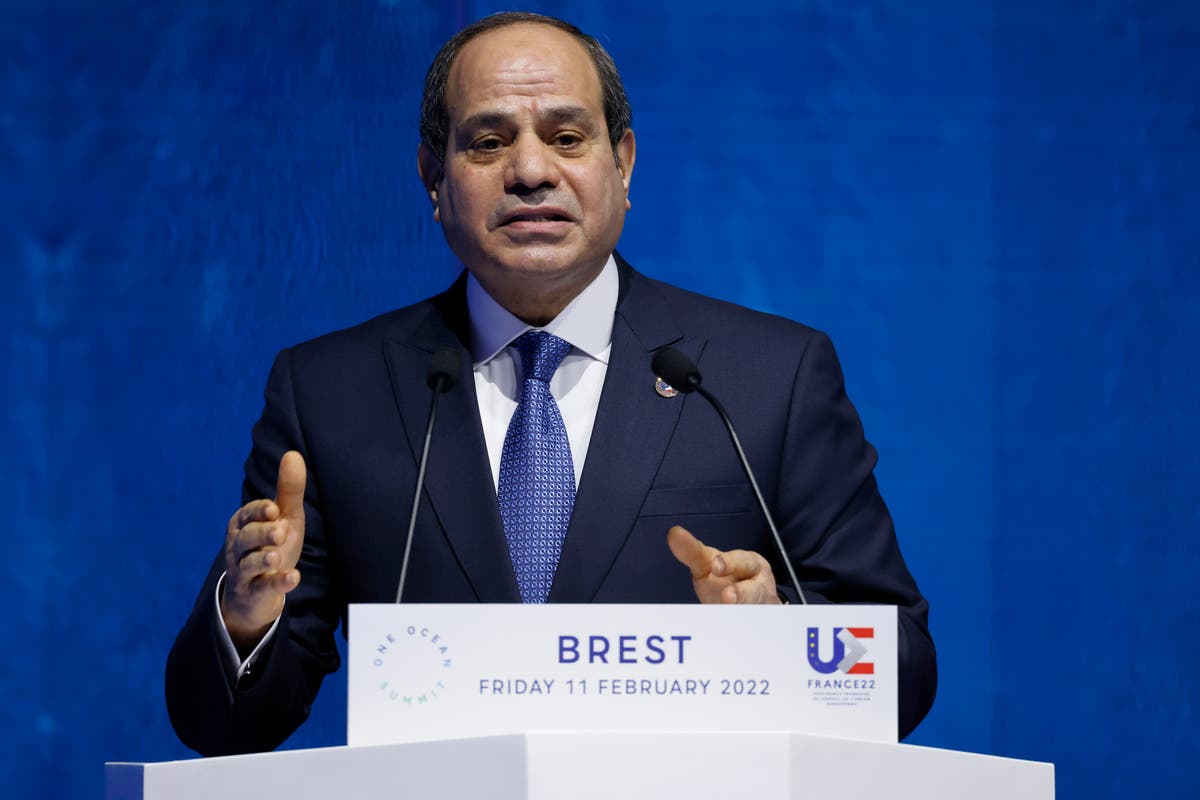 مصر تطلق سراح 3 رئيس يبدو وكأنه يمد يده إلى النقاد