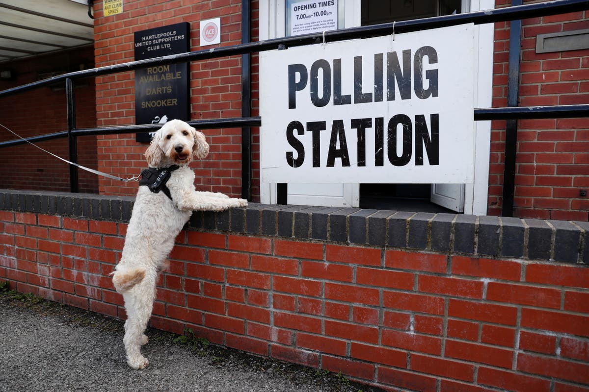 Voices: Baselines, Boundaries and Bulls*** &ndash; what to look for in Thursday&rsquo;s local elections