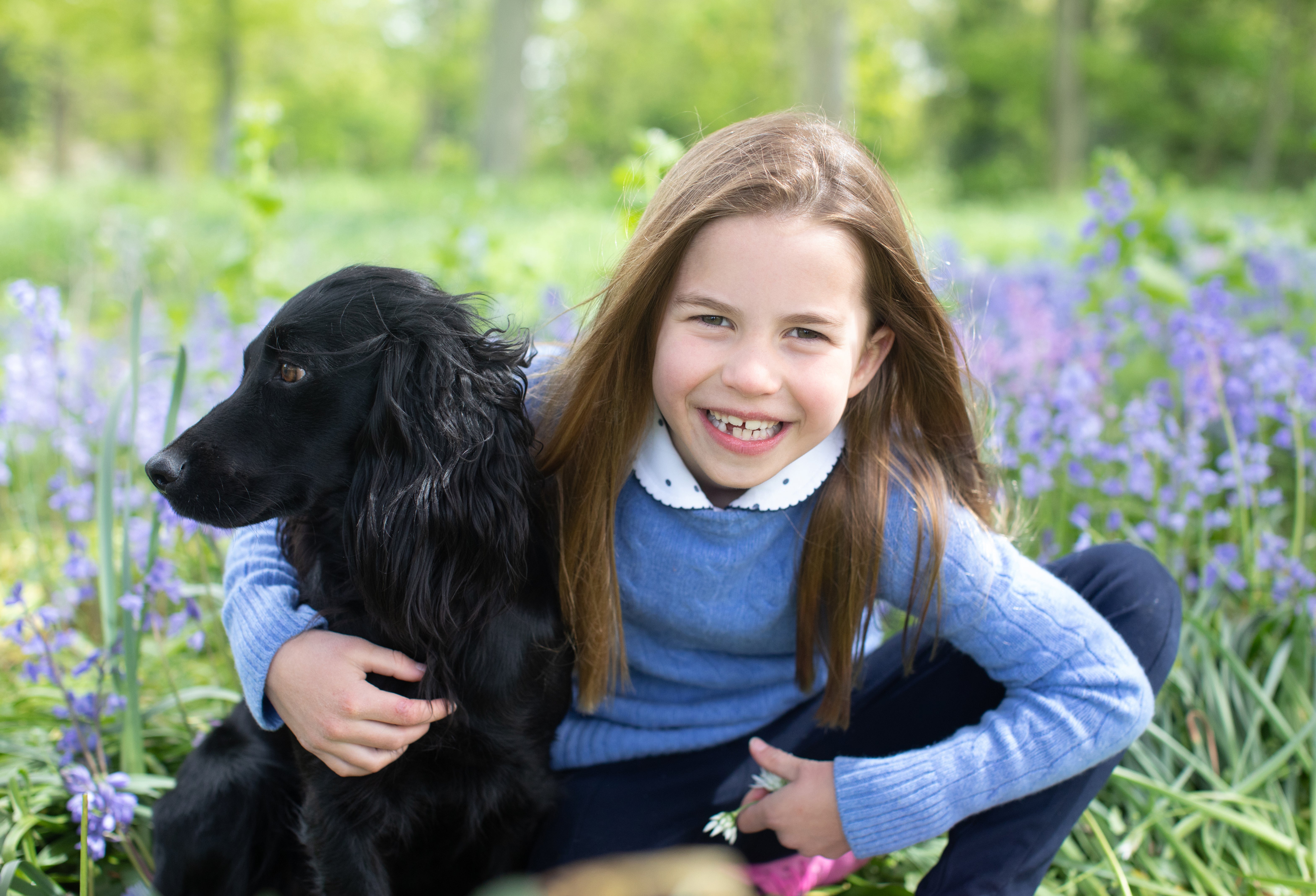 Princess Charlotte Duchess of Cambridge releases new photos of daughter and pet dog to mark seventh birthday The Independent pic