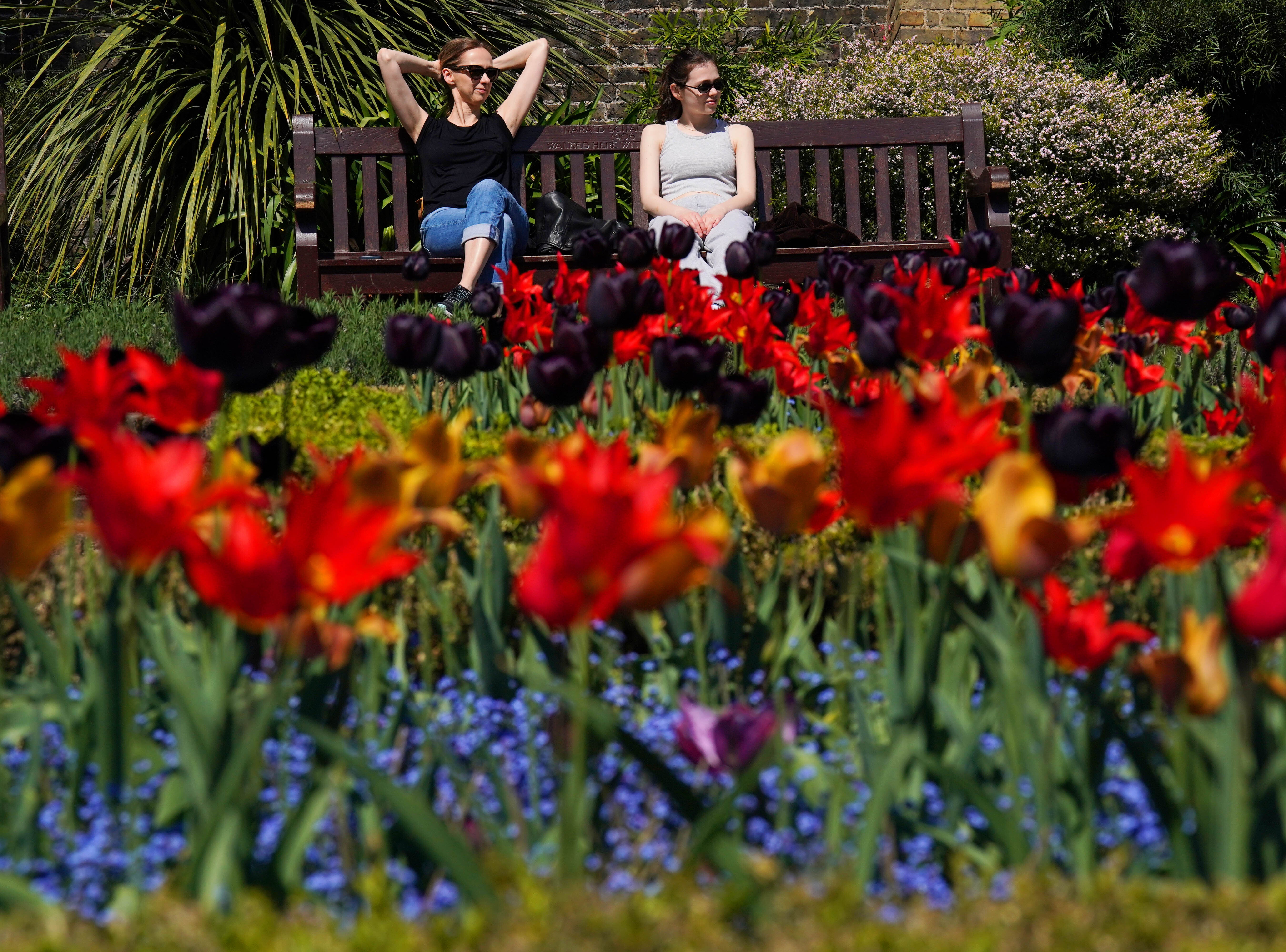 Visitors to Holland Park, London, enjoy the sunshine on the Bank Holiday weekend (PA)
