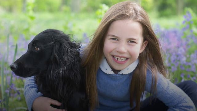 <p>Kensington Palace release photos of Princess Charlotte with family dog to mark 7th birthday</p>