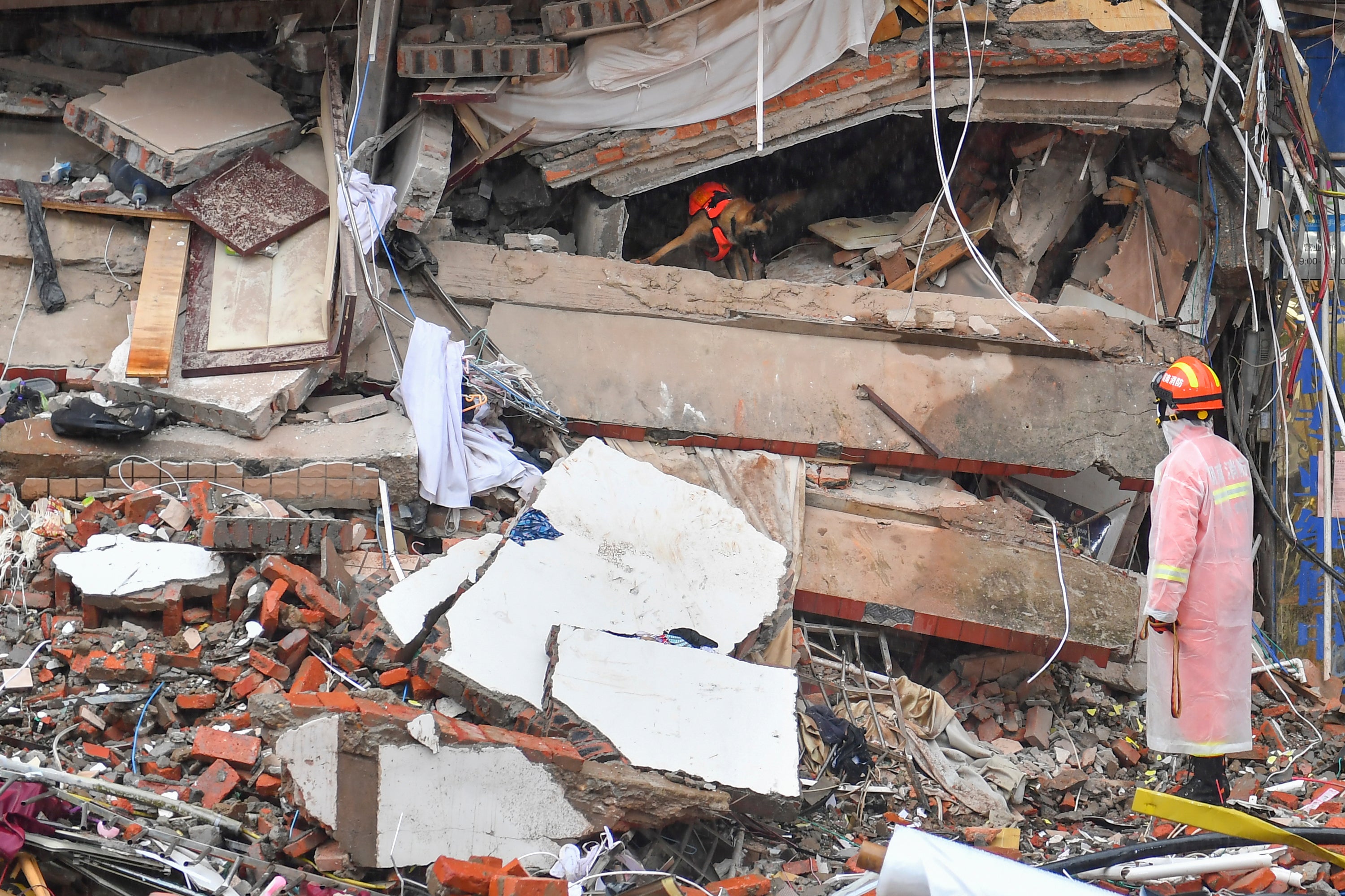 A rescuer works with a rescue dog at the collapse site of a self-constructed residential building