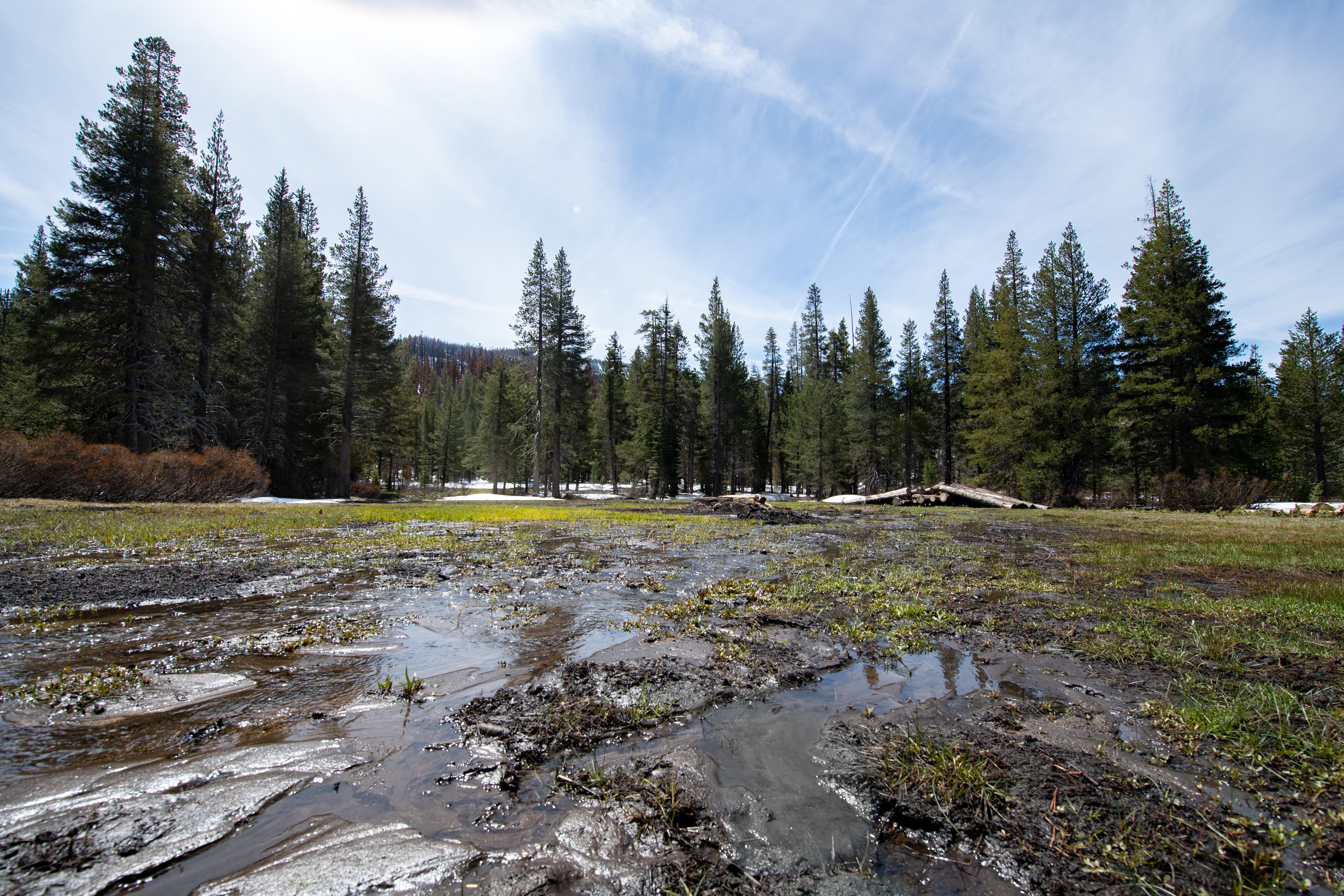 <p>The latest snow survey at Phillips Station in the Sierra Nevadas recorded no snow</p>