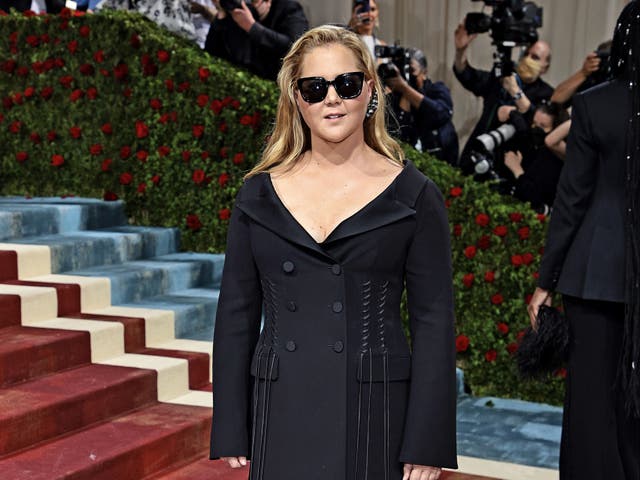 <p>Amy Schumer sparks confusion with Met Gala Vogue interview</p>
