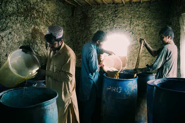 <p>Ephedra power is mixed with chemicals in one of the steps to produces methamphetamine in Farah province, Afghanistan</p>