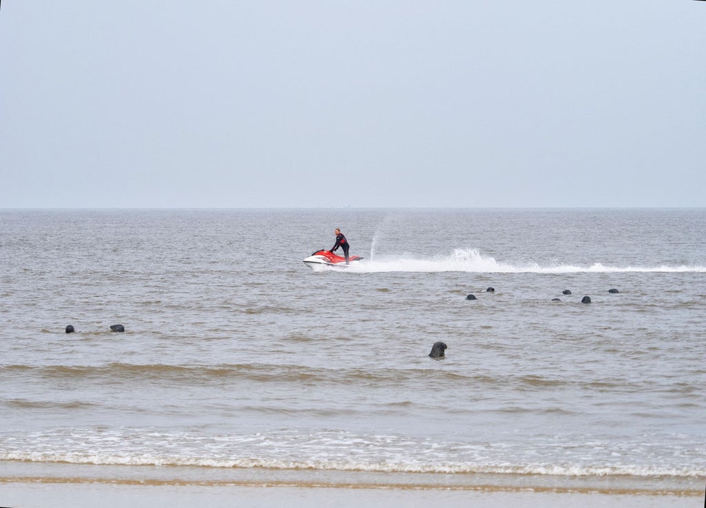 Volunteers criticise jet-skiers for ‘harassing’ seals resting on shoreline