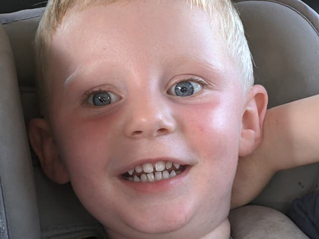 <p>Reid Steele’s mother pleaded guilty to his manslaughter by reason of diminished responsibility</p>