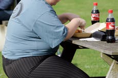 Obese children more likely to develop dementia, study suggests
