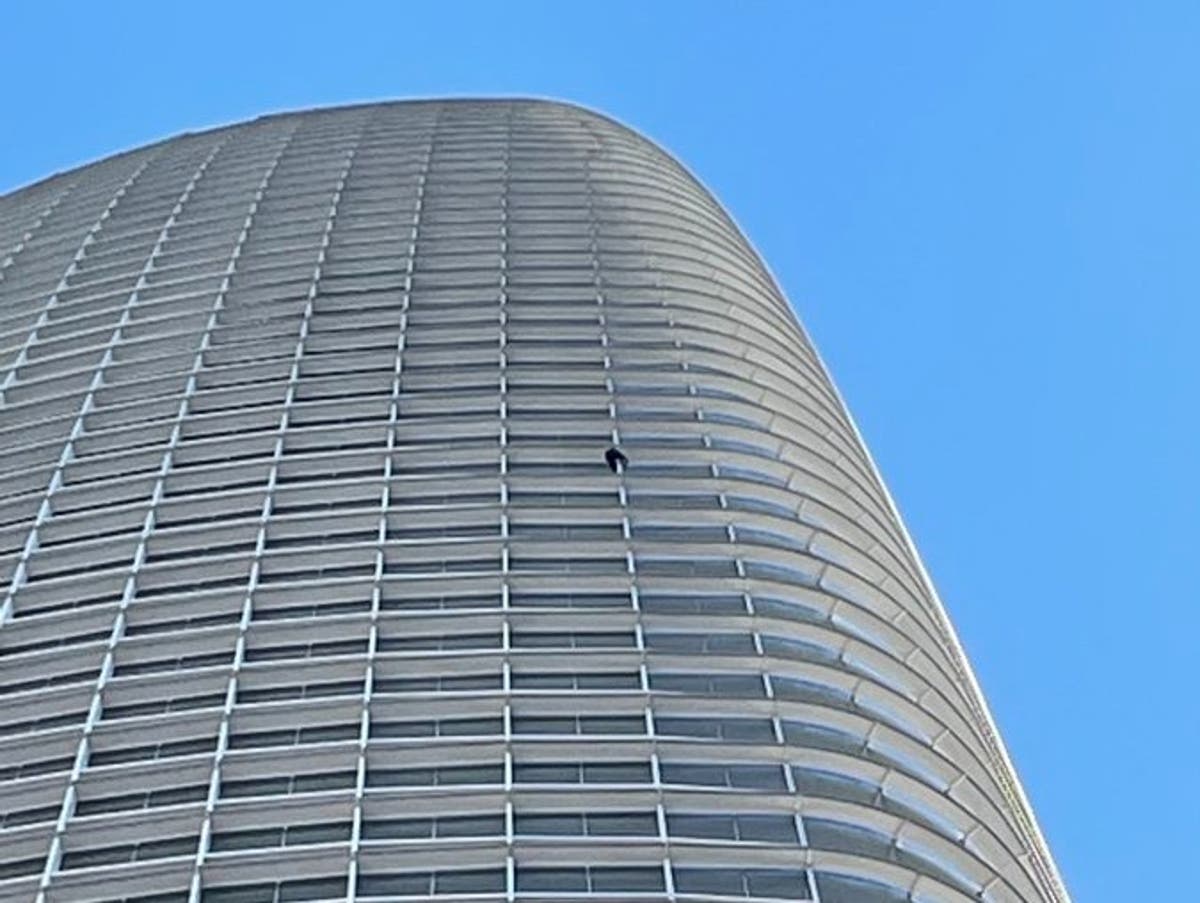 Man arrested after free climbing 61storey San Francisco skyscraper The Independent
