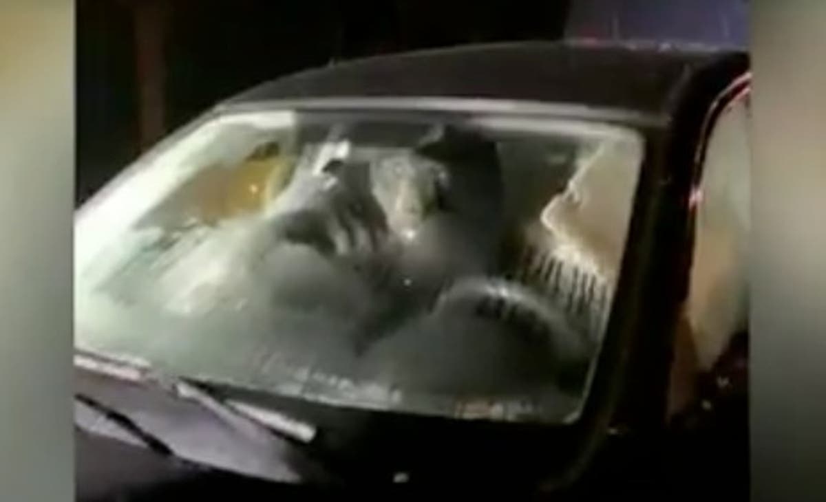 Connecticut man finds black bear trapped inside mother-in-law&rsquo;s vehicle