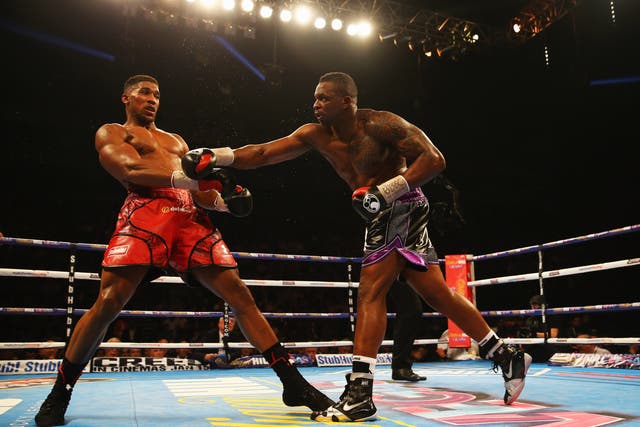 <p>Anthony Joshua and Dillian Whyte in action back in 2015</p>