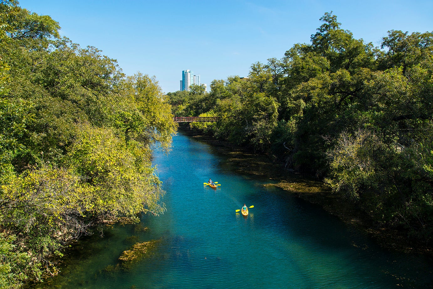 Immerse yourself in nature, kayaking on Lady Bird Lake
