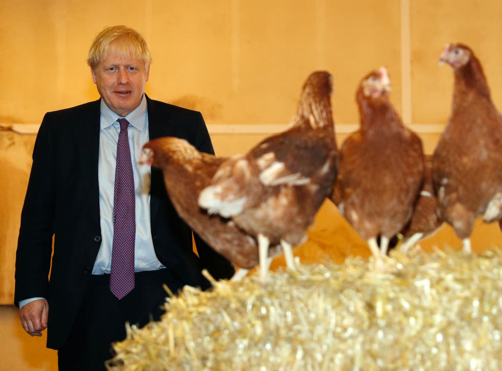 <p>Boris Johnson inspects chickens on a visit to farm in Newport, south Wales</p>