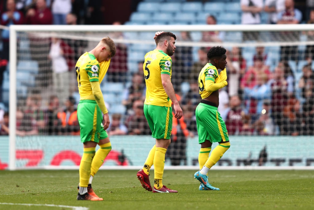 Relegated Norwich left demoralised after Webberball’s poor return