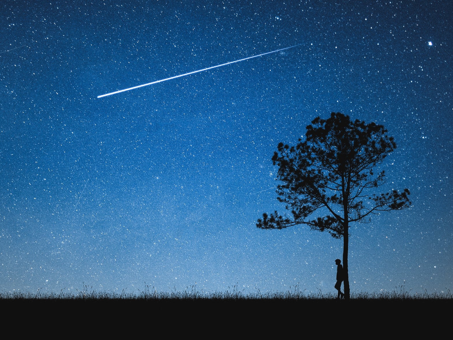 The Eta Aquarid meteor shower will see up to 50 shooting stars an hour appear on 6 May, 2022