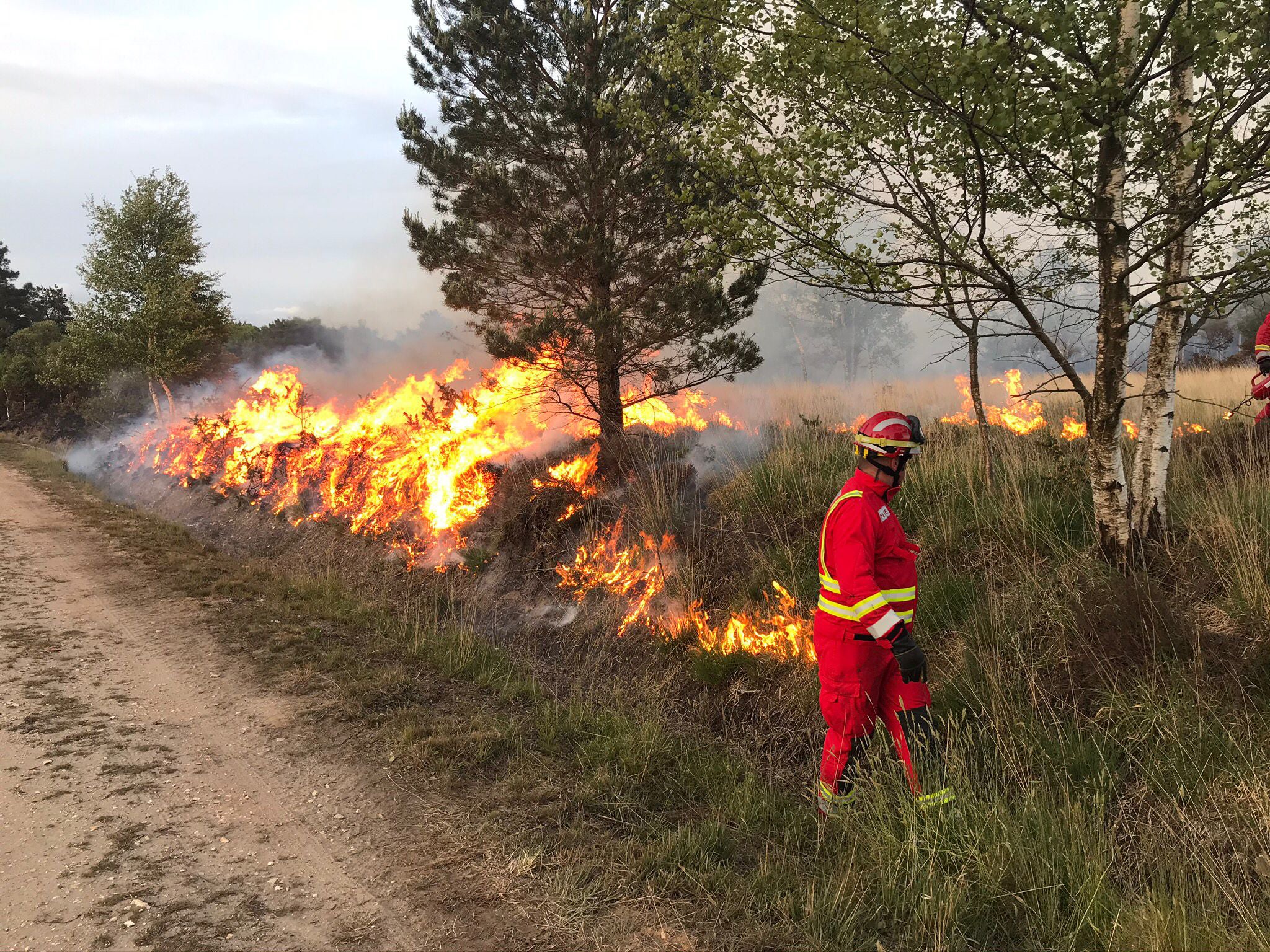 A member of South Wales Fire and Rescue Service fights a wildfire