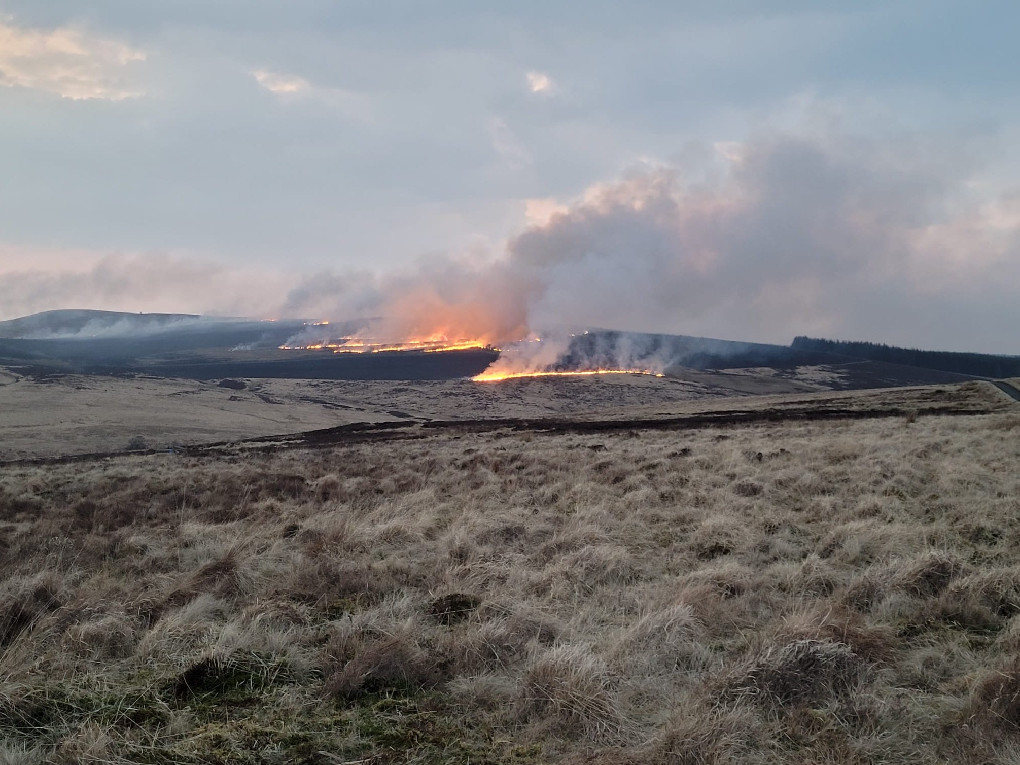 A wildfire tore through Northumberland National Park in March