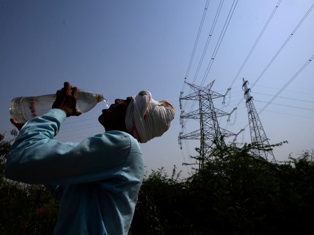 <p>A worker quenches his thirst next to power lines as a heatwave continues to lash Delhi</p>