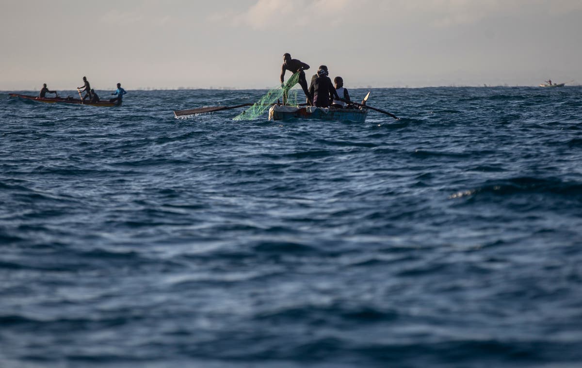 For marine biologist, Haitian gangs make work dangerous