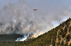 President declares disaster in New Mexico wildfire zone