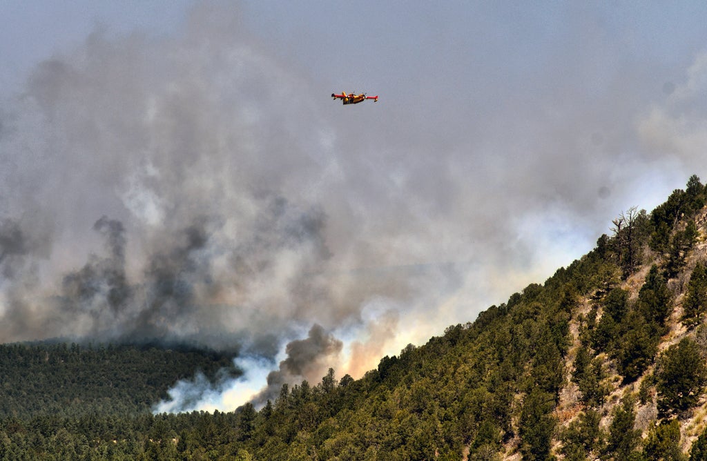 Başkan New Mexico orman yangını bölgesinde felaket ilan etti