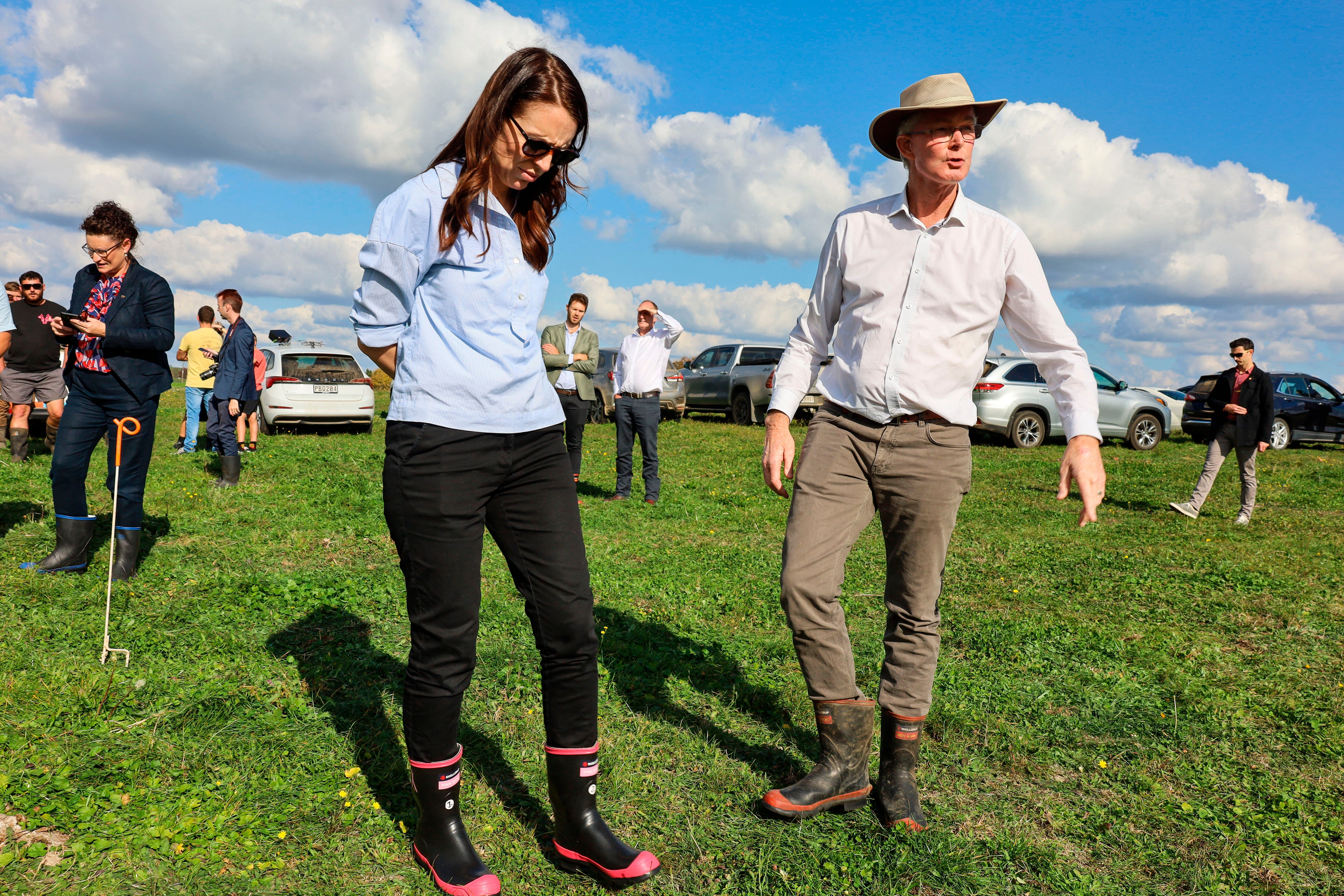 New Zealand Cow Disease