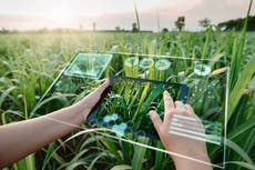 10 ways to live more sustainably 