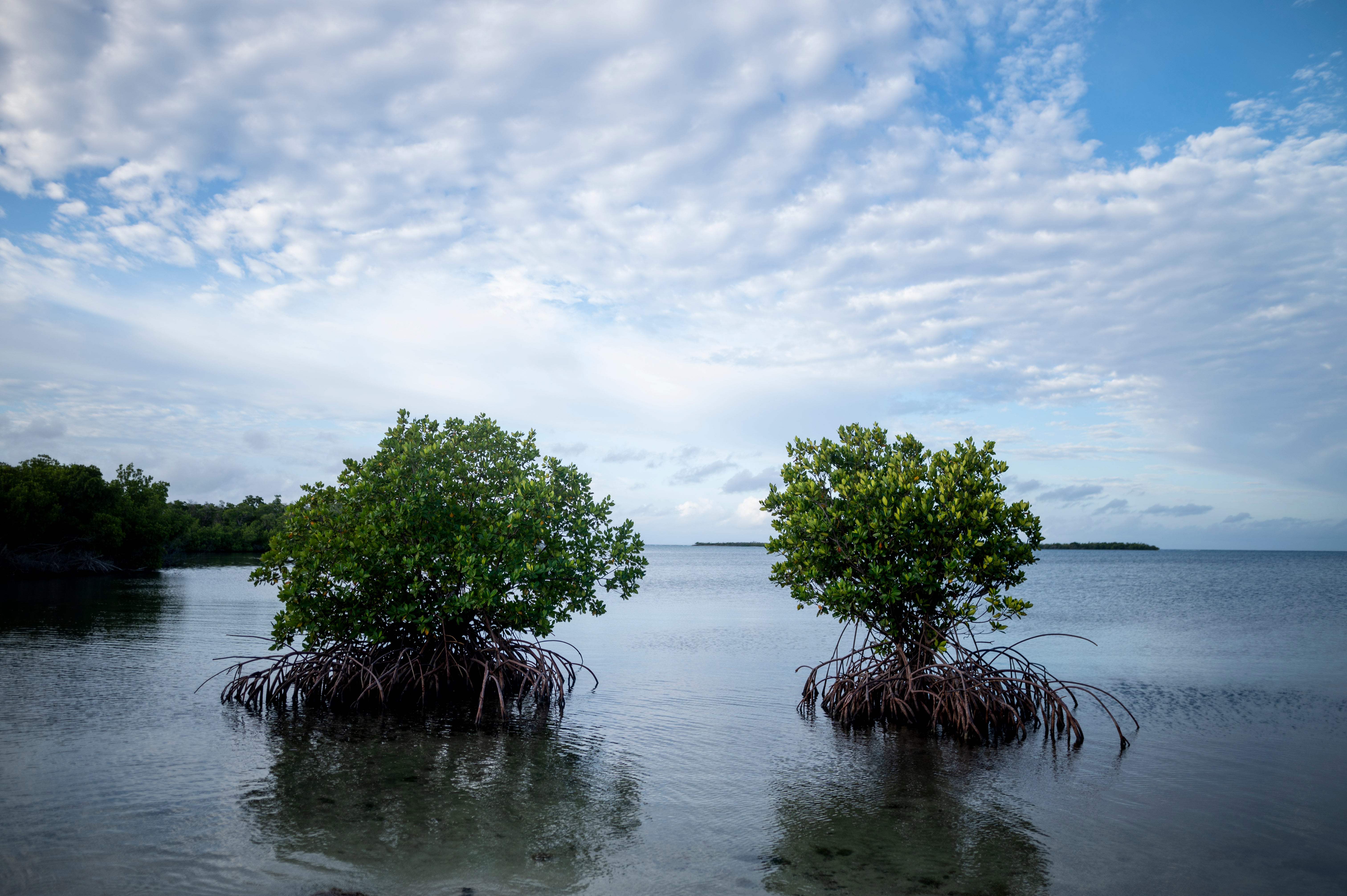 Climate Change Puerto Rico Illegal Construction