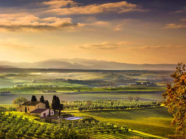 <p>Go green on a trip to Tuscany</p>
