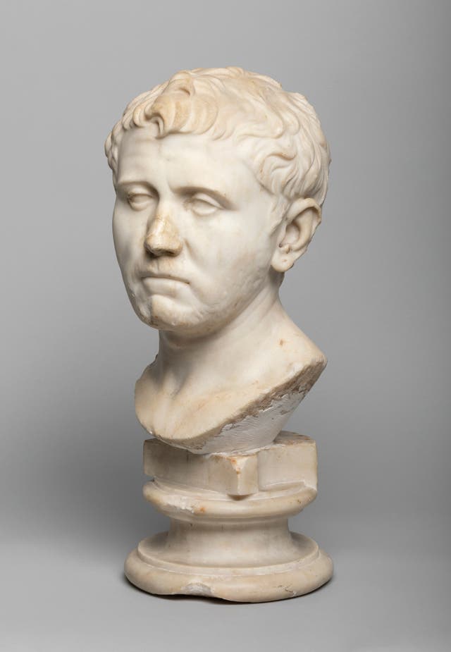 Goodwill Find Roman Bust
