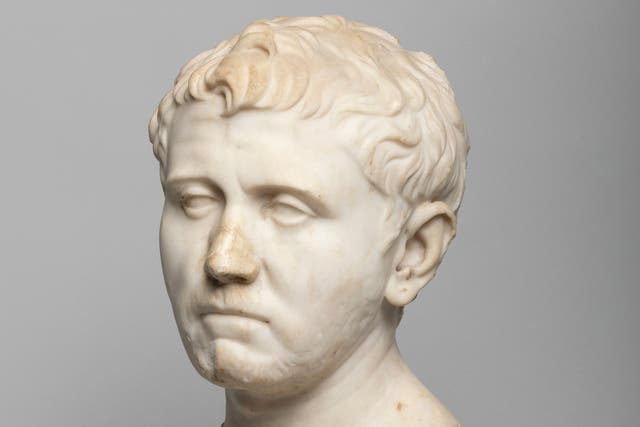 Goodwill Find Roman Bust