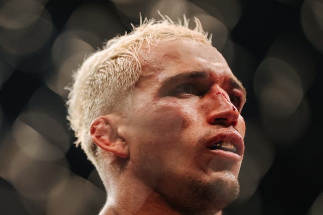 Fighters On The Rise, UFC 262 Edition
