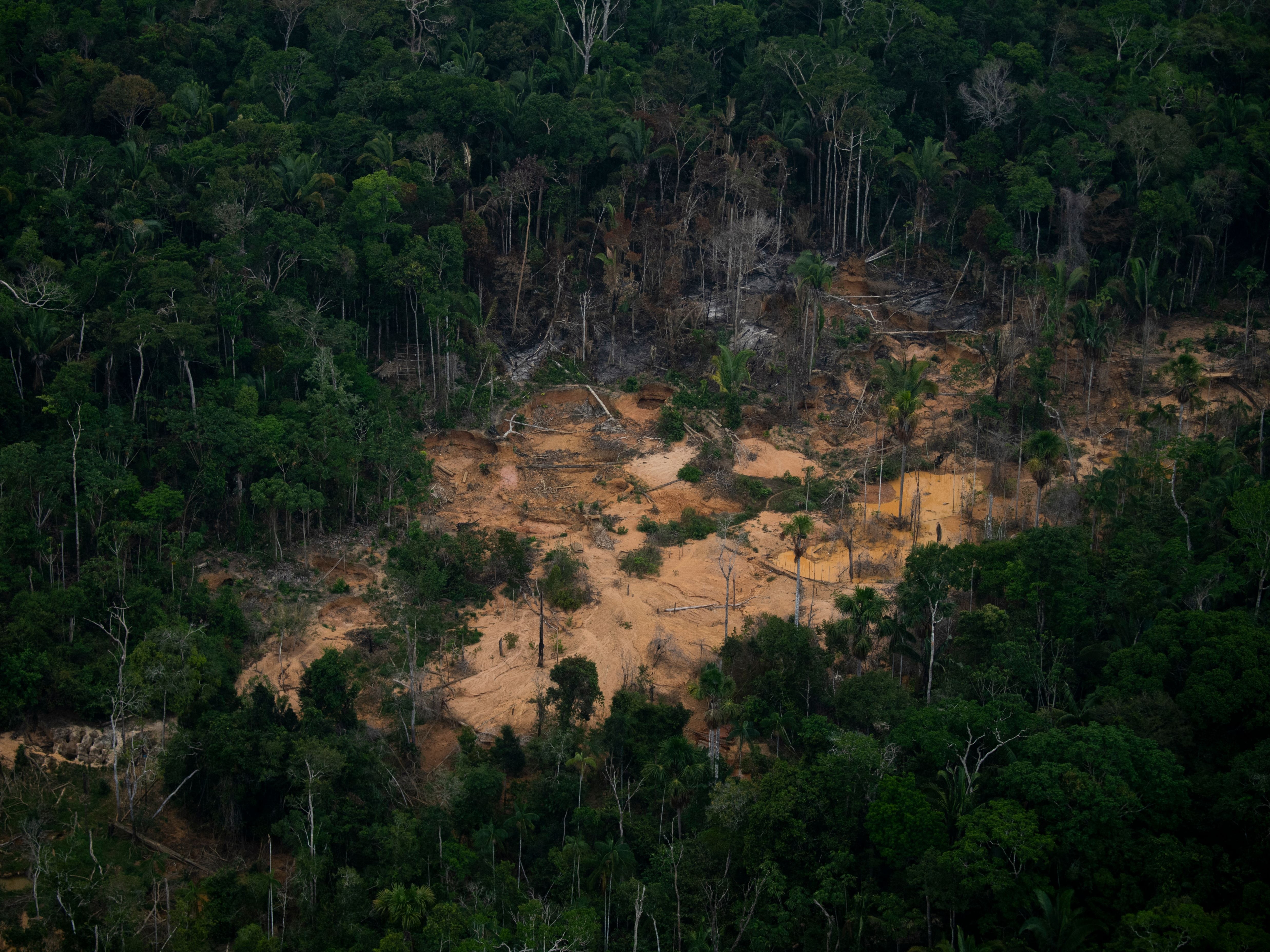 Aerial view of a deforested area of the Amazonia rainforest in Rondonia state in Brazil