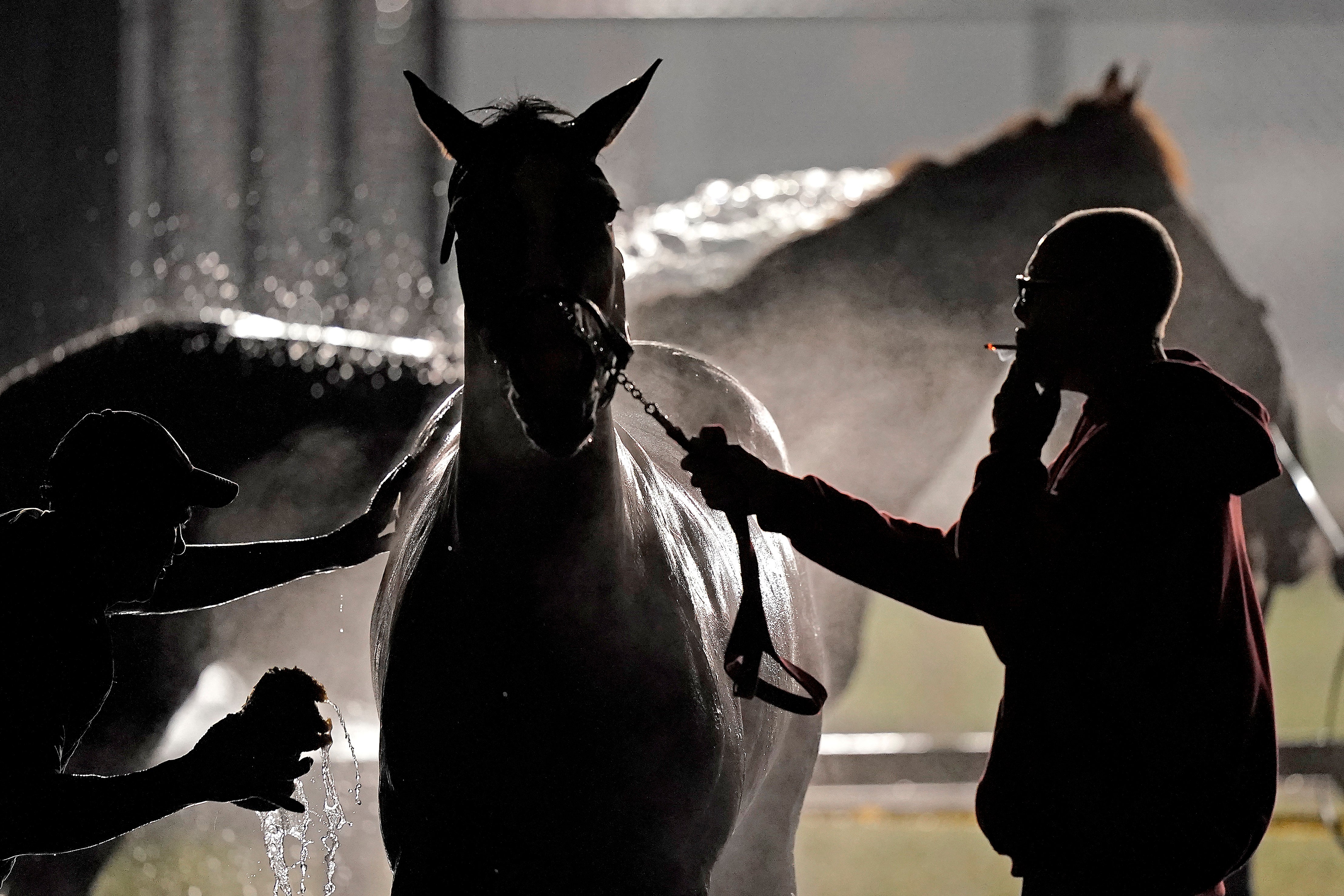 Pictures of the Week-Global-Photo Gallery