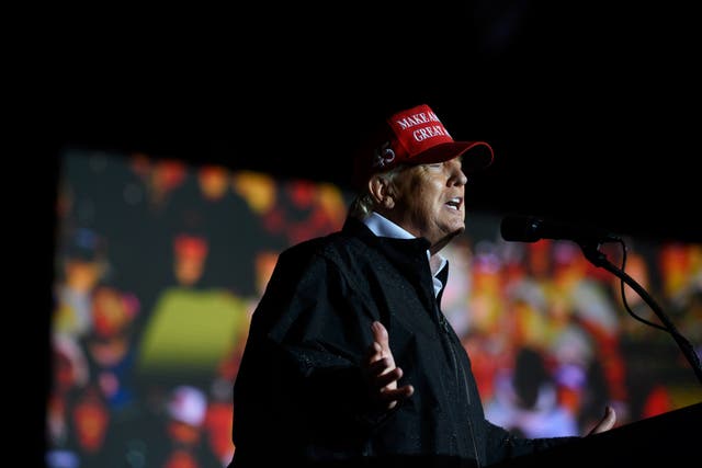 <p>Former president Donald Trump speaks during a rally in Greensburg, Pennsylvania on May 6 </p>
