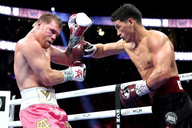 <p>Dmitry Bivol punches Canelo Alvarez during their WBA light heavyweight title fight</p>