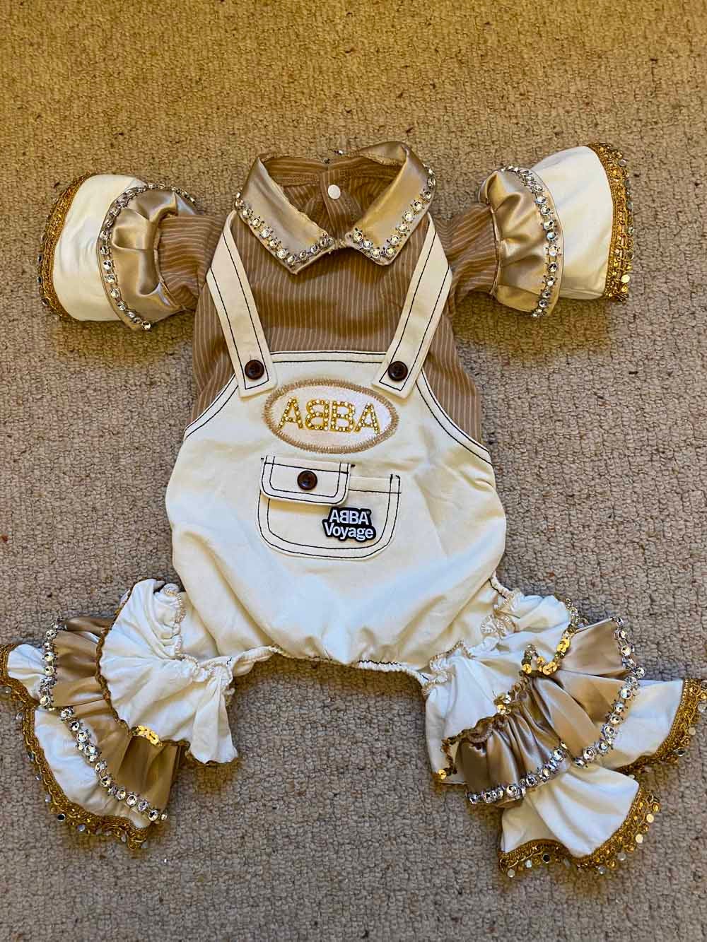 Jane finished her latest outfit for Simba the dog in November 2021 (Collect/PA Real Life).