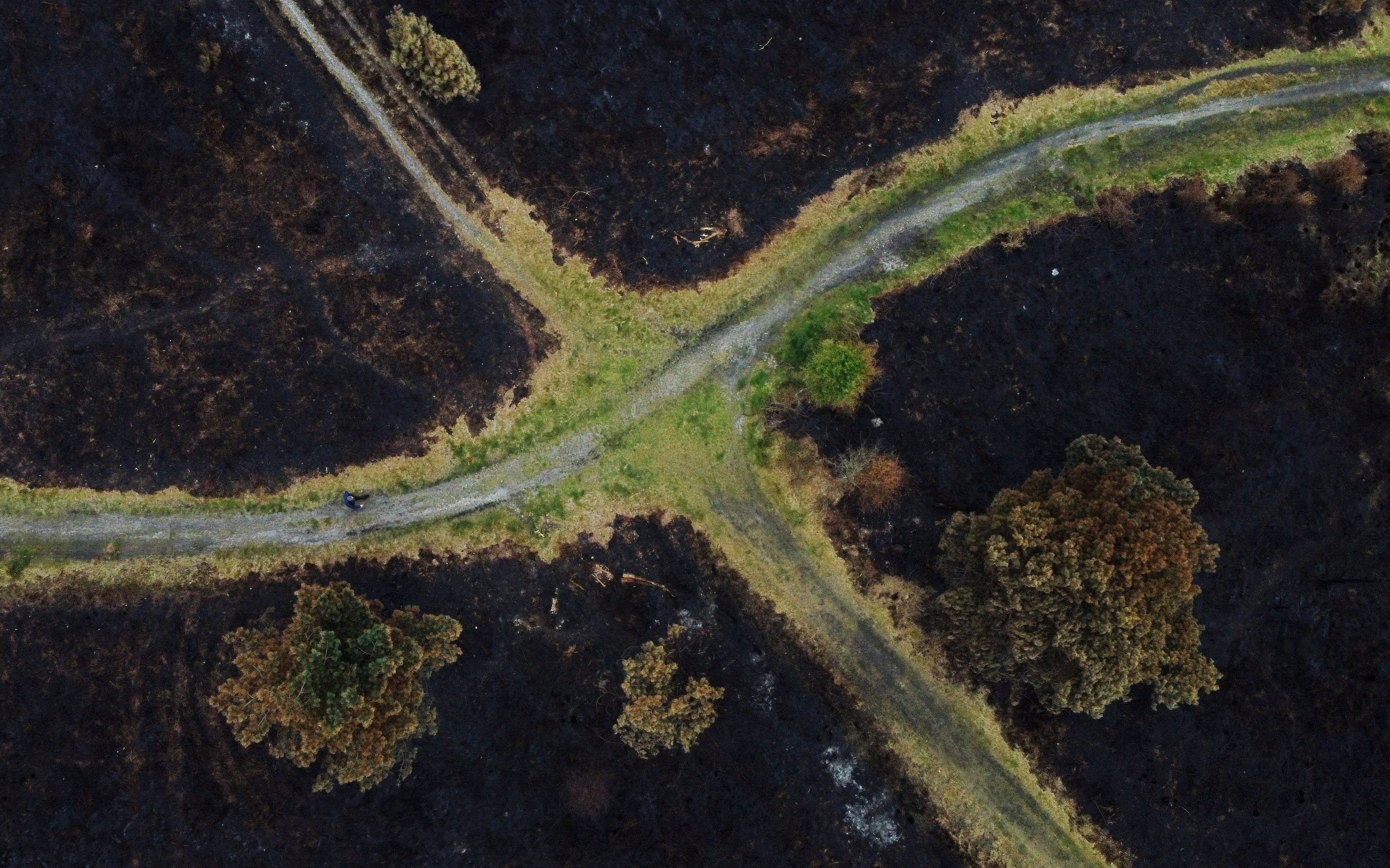 Scorched land is seen from above after a heath fire at Canford Heath in Poole