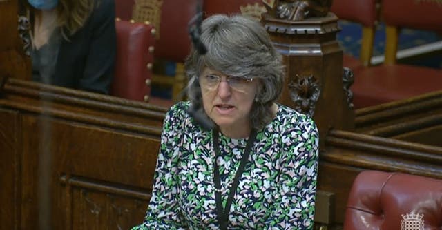 <p>Baroness Finlay has issued a warning over coercion if assisted dying is voted into law (PA)</p>