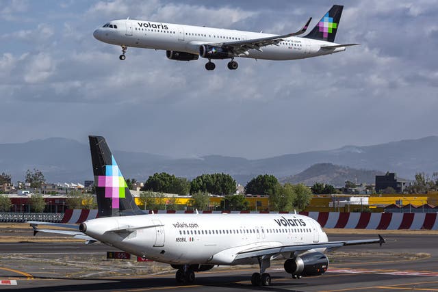 <p>A Volaris Airbus A320 and A321</p>