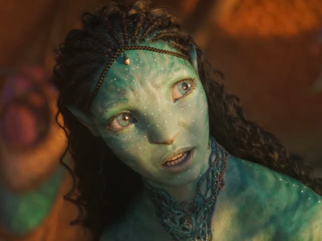 <p>‘Avatar: The Way of Water’ is out in cinemas this December</p>