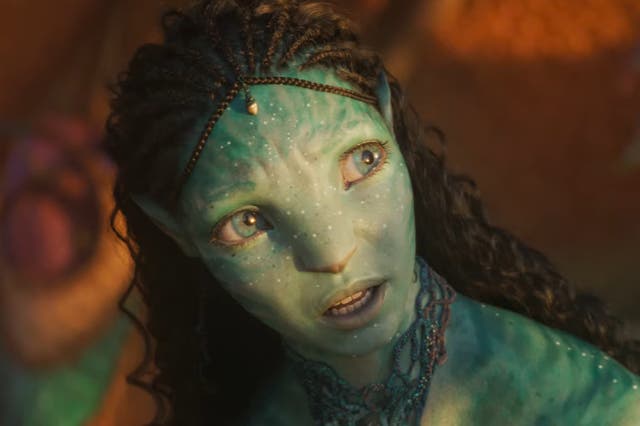 <p>‘Avatar: The Way of Water’ is out in cinemas this December</p>