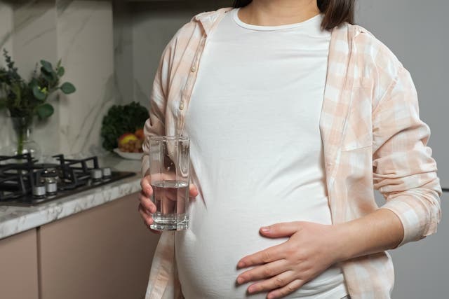 <p>A new study found dozens of potentially concerning chemicals in a cohort of pregnant people</p>
