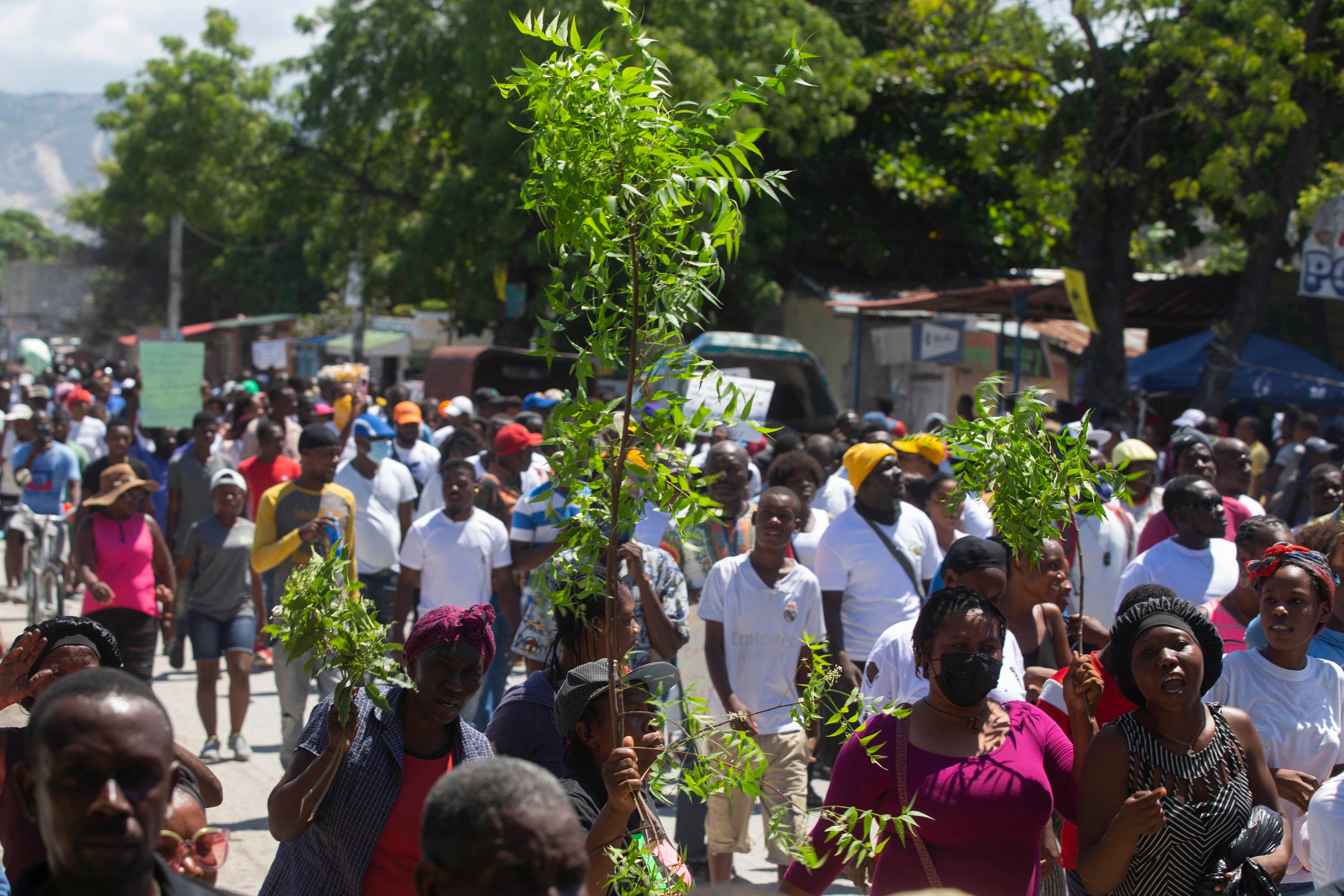 Haiti Protest